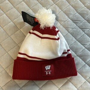 Wisconsin Badger Winter Hat